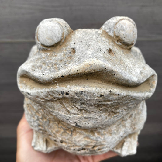 陶器鉢 カエルポットL