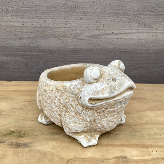 陶器鉢 カエルポットS